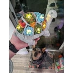 Image 4 of customer photos