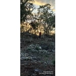 Imagen 7 de las fotos del cliente