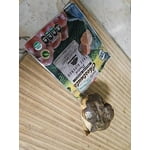 Image 5 of customer photos