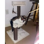 Image 2 of customer photos