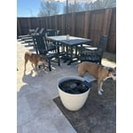 Image 3 of customer photos