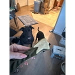 Image 4 of customer photos