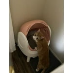 Image 7 of customer photos