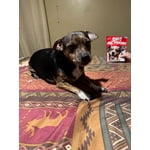 Image 6 of customer photos