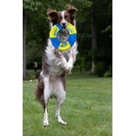 Image 7 of customer photos