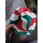 Molten Official NCAA Men's Volleyball V5M5000 Flistatec with Flight ...