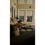 Image 7 of customer photos