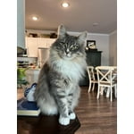 Image 3 of customer photos