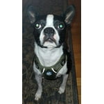 Image 6 of customer photos