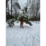 Image 3 of customer photos