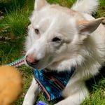 Image 3 of customer photos