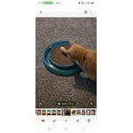 Image 6 of customer photos