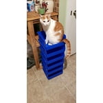 Image 4 of customer photos