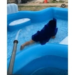 Image 5 of customer photos