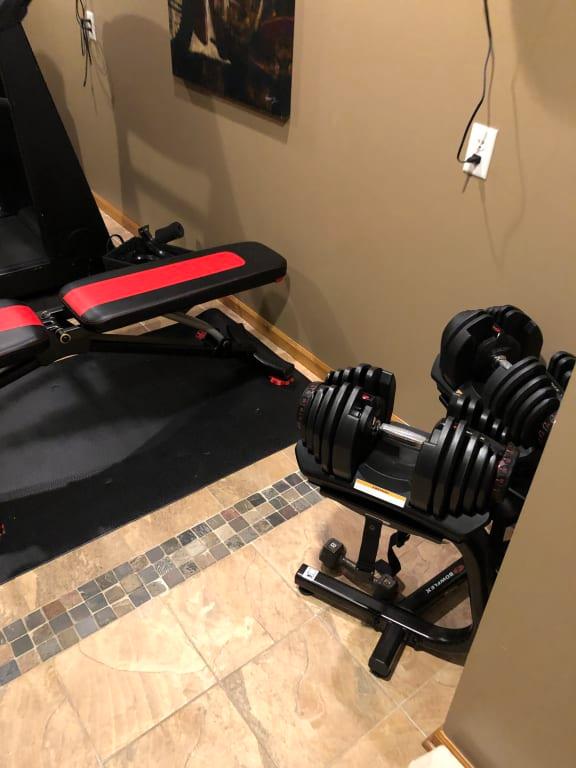 Bowflex Selecttech 552 Adjustable Dumbbells Pair And Series 3 1