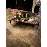 Image 4 of customer photos