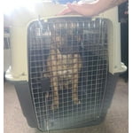 Image 2 of customer photos