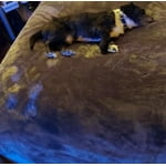 Image 7 of customer photos