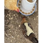 Image 1 of customer photos