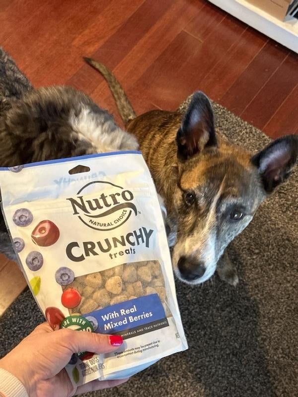 Nutro dog treats walmart deals