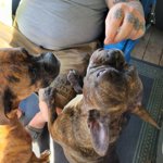 Image 5 of customer photos