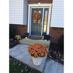 Image 2 of customer photos