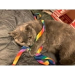 Image 6 of customer photos