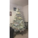 Image 2 of customer photos