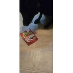 Image 5 of customer photos