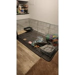 Image 1 of customer photos