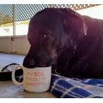 Image 5 of customer photos