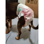 Image 4 of customer photos