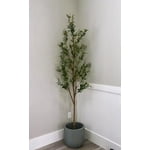 Image 7 of customer photos