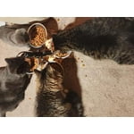 Image 6 of customer photos