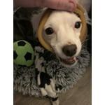 Image 7 of customer photos