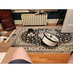 Image 5 of customer photos