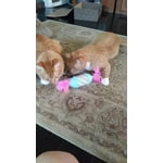 Image 4 of customer photos