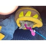 Image 5 of customer photos