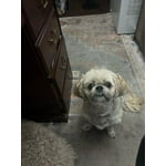 Image 5 of customer photos