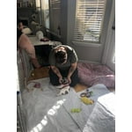 Image 1 of customer photos