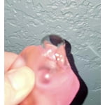 NICE ICE BABY NEEDOH - MULTI PACK