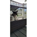 Image 2 of customer photos