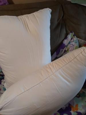 celeep pillows