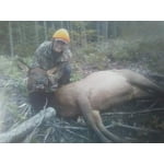 Image 4 of customer photos