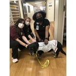 Image 1 of customer photos