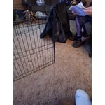 Image 5 of customer photos