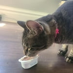 Image 4 of customer photos