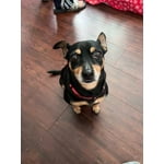 Image 5 of customer photos