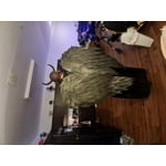 Image 2 of customer photos