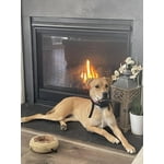 Image 5 of customer photos